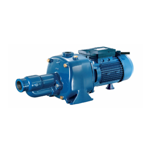 Máy bơm dân dụng Pentax CAB 300