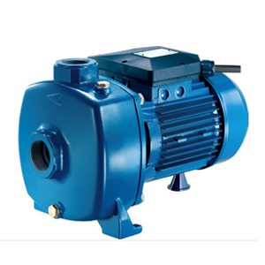 Máy bơm dân dụng Pentax MBT 300