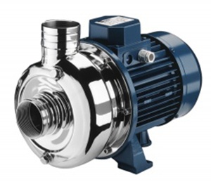 Bơm bùn đặt cạn Ebara Dwo200