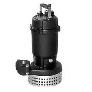 Máy bơm chìm Ebara 50DS 52.2