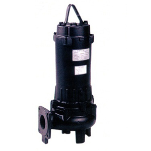 Máy bơm chìm Ebara 65DVS 52.2