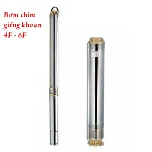 Bơm chìm giếng khoan Foras 6F 36-6
