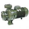 may-bom-nuoc-saer-ir65-125b - ảnh nhỏ  1